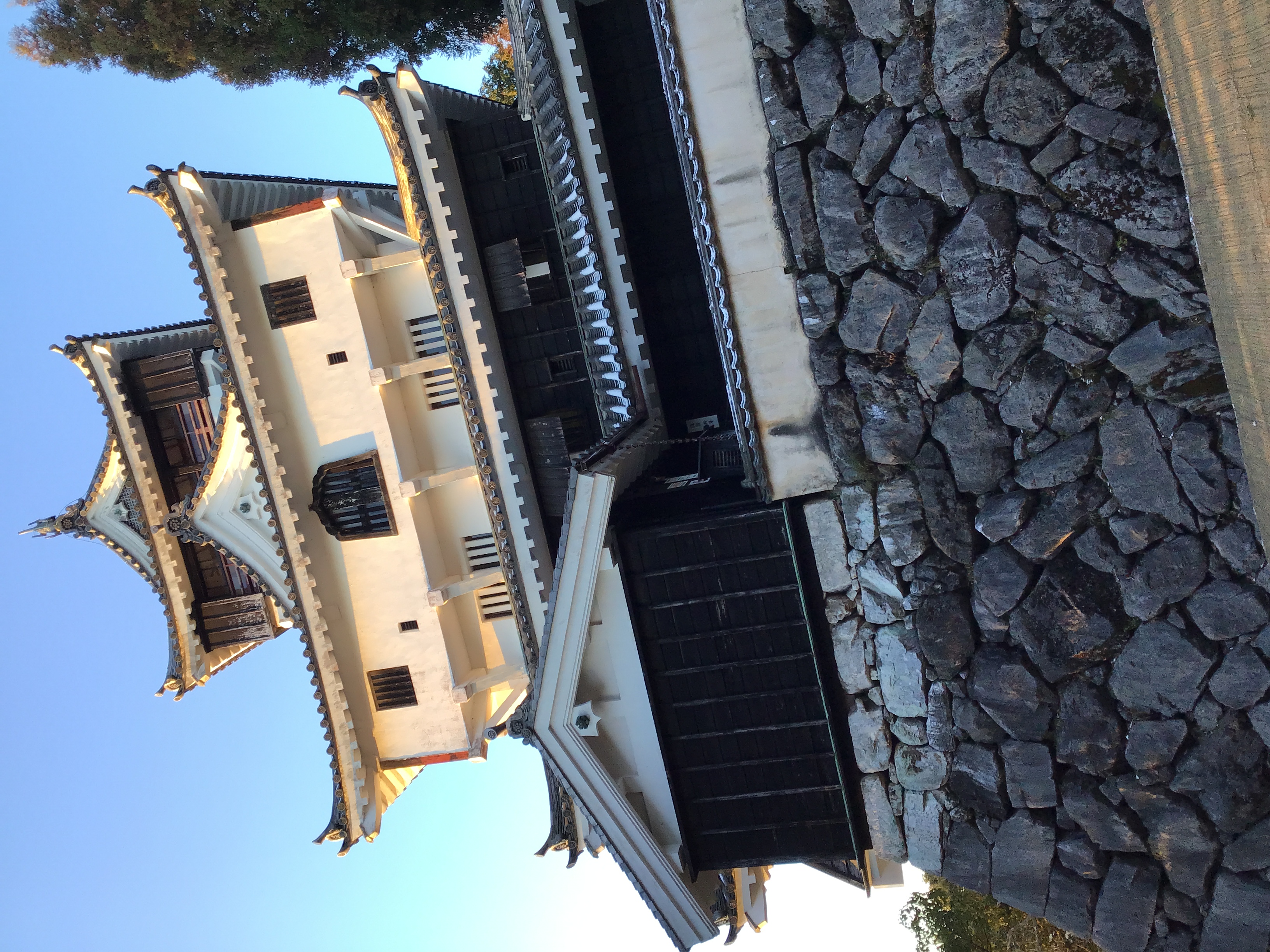 The castle in Iwakuni