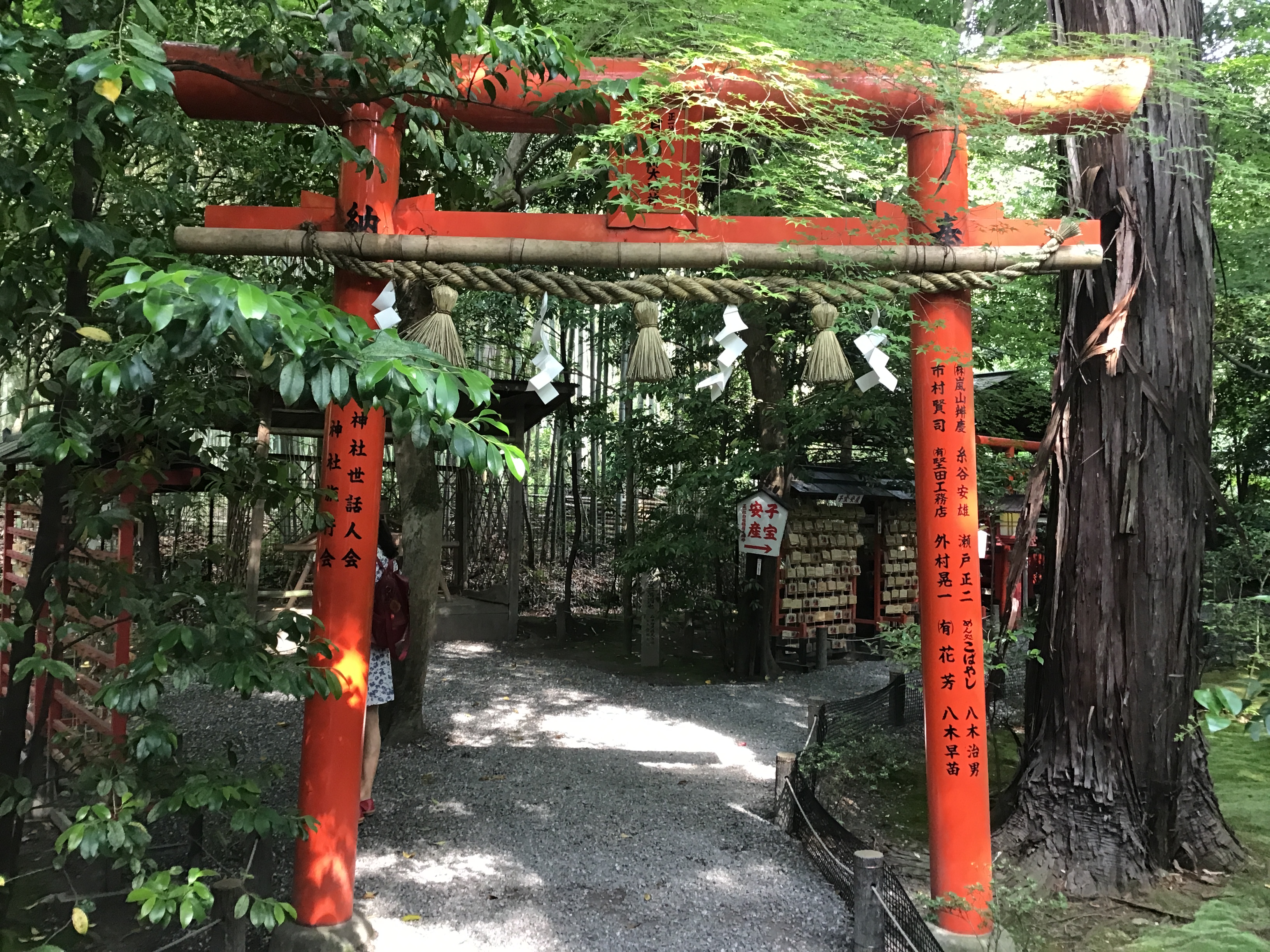 A torii gate in the bamboo forest.