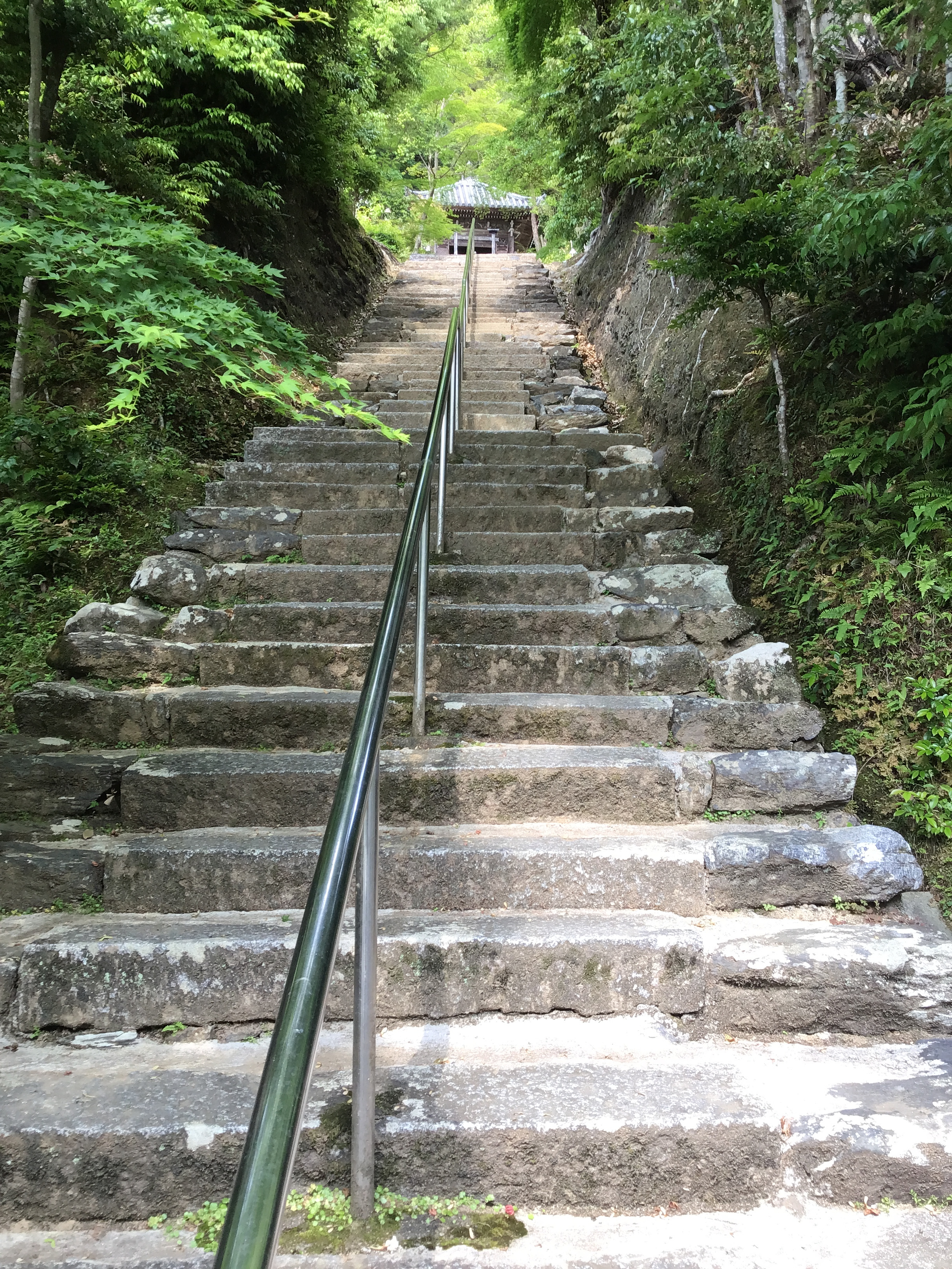 Lots of stairs in a Buddhist Temple
