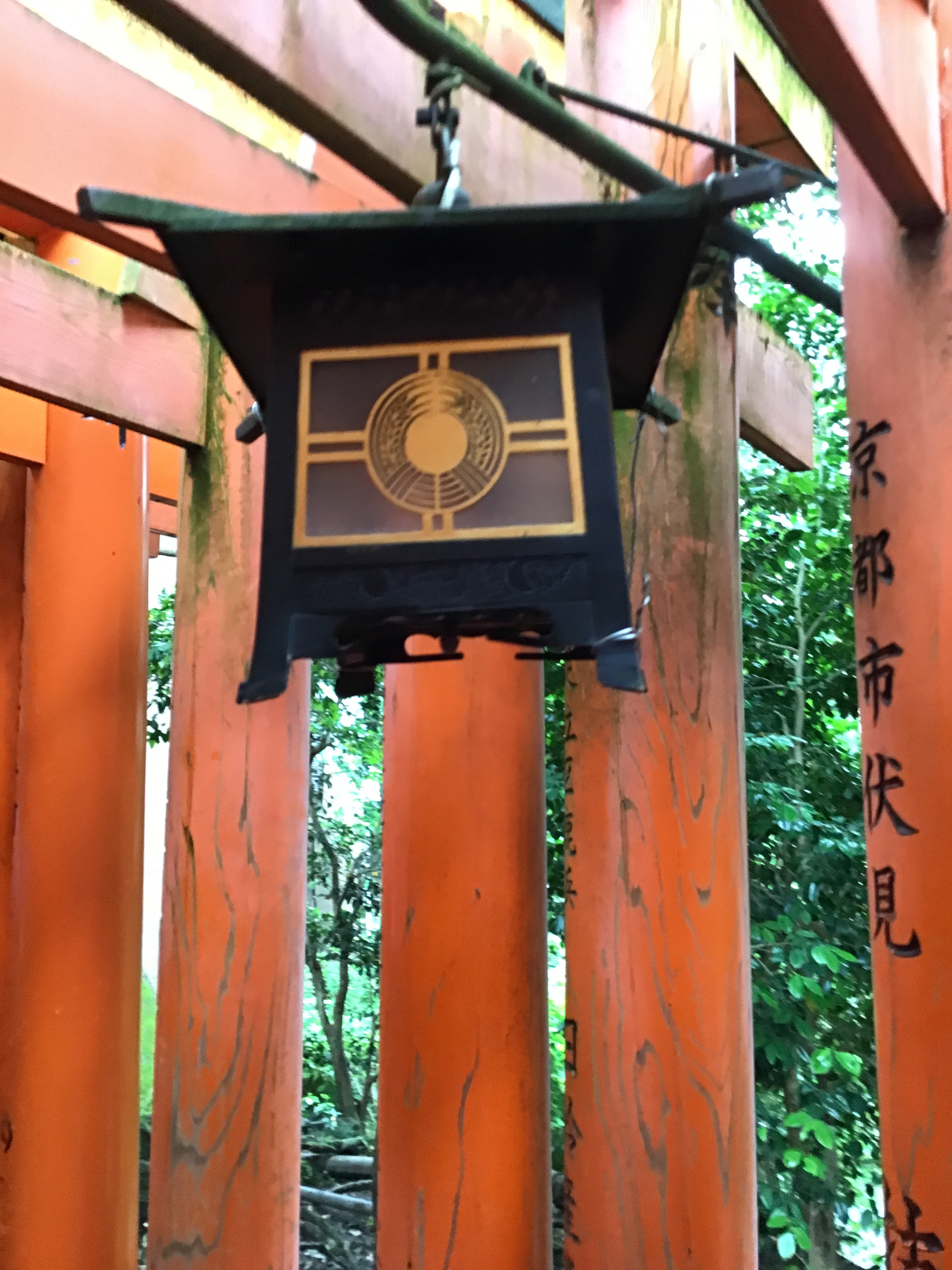 A lantern hanging from a torii gate