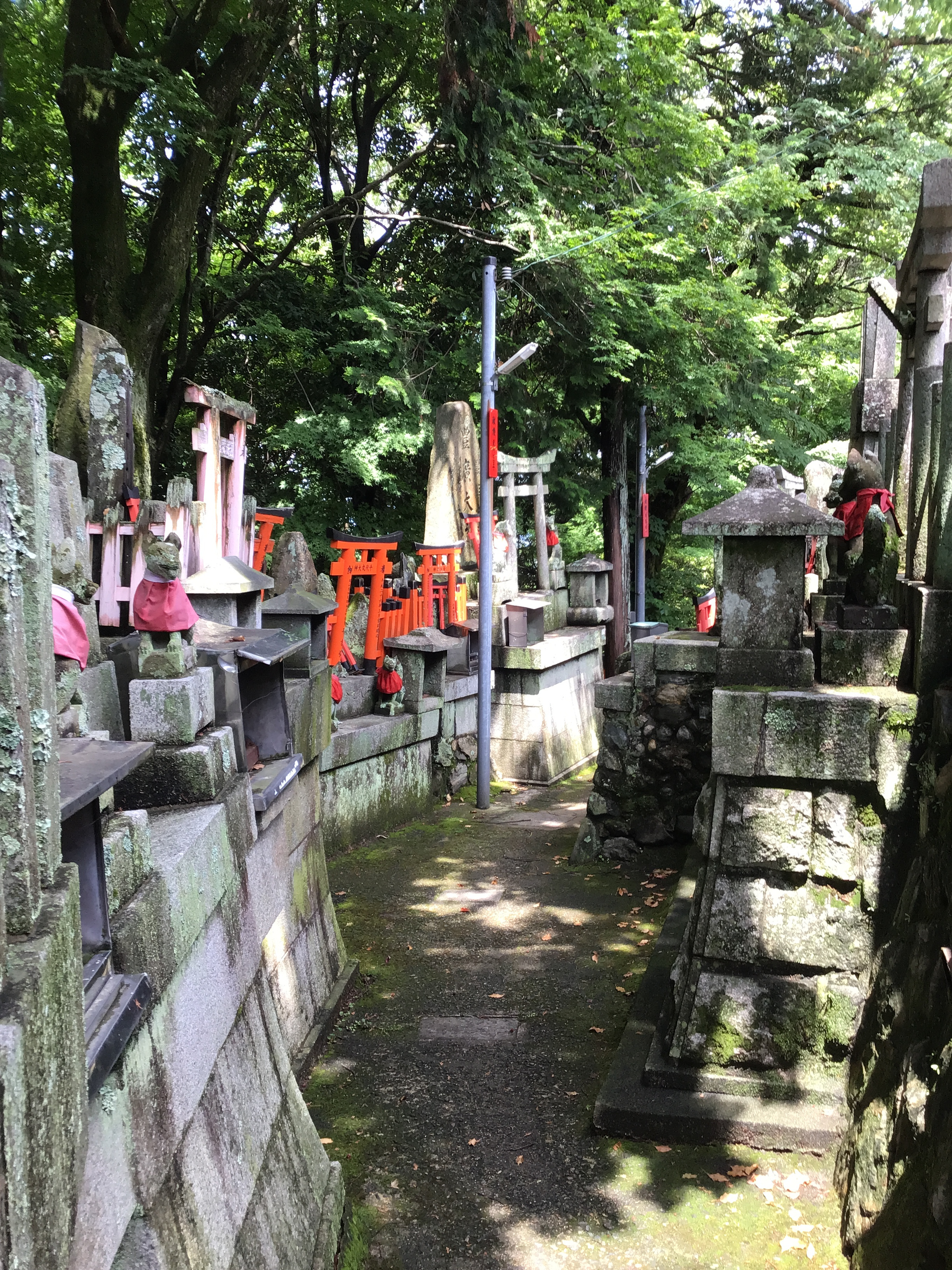 smaller torii gates near individual shrines