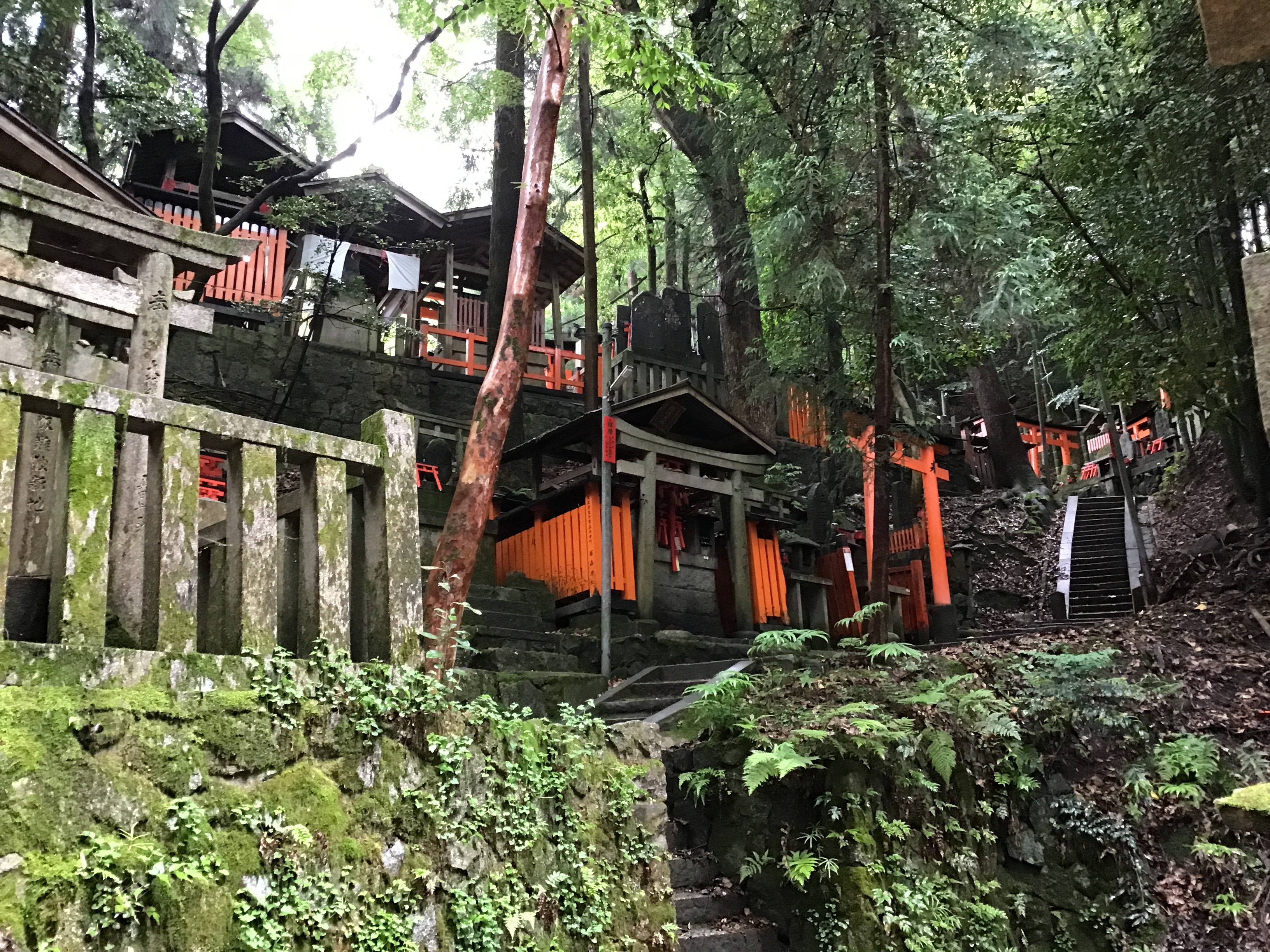 A shrine on a wooded mountain