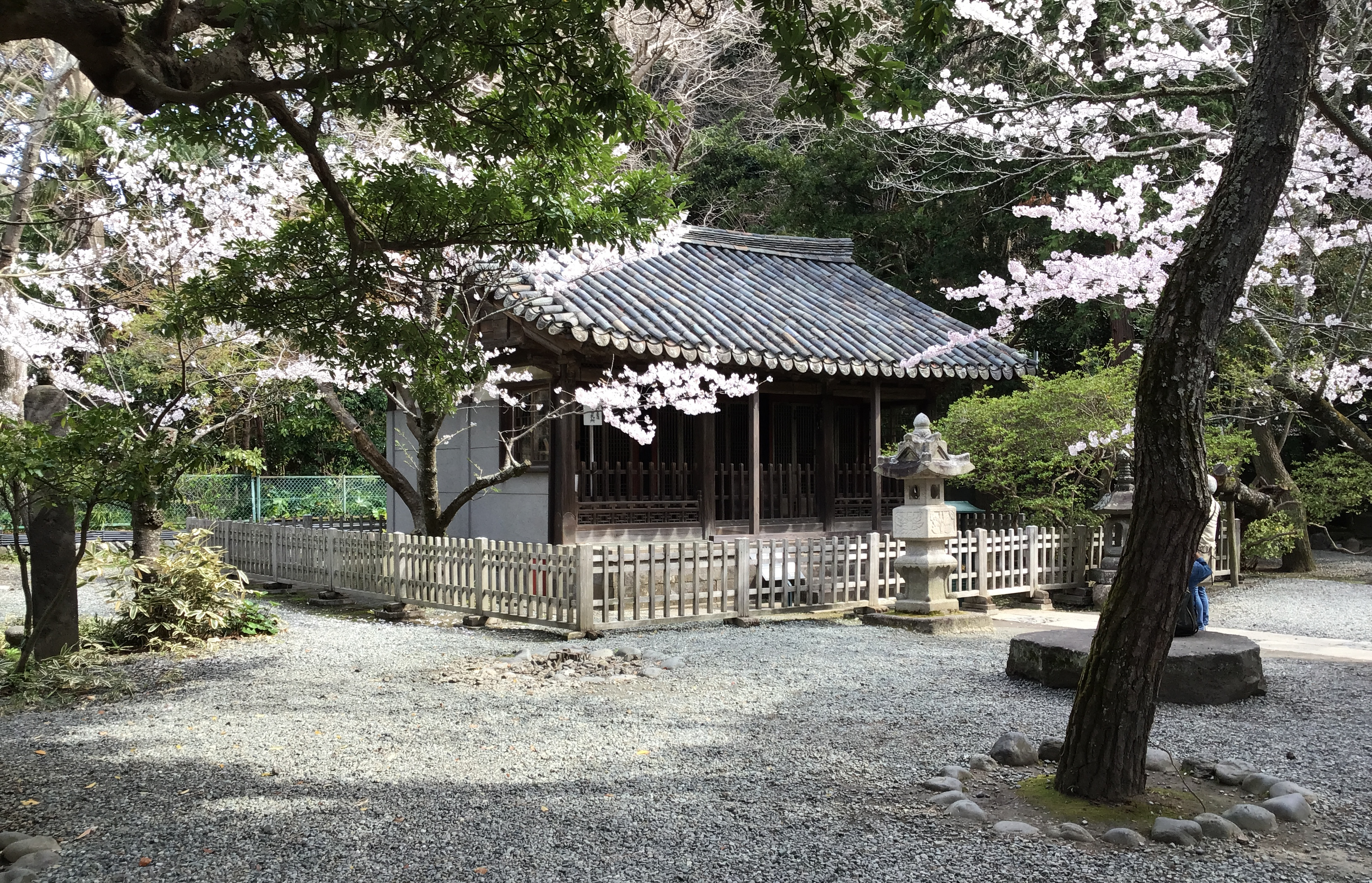 A hut near the giant buddha temple